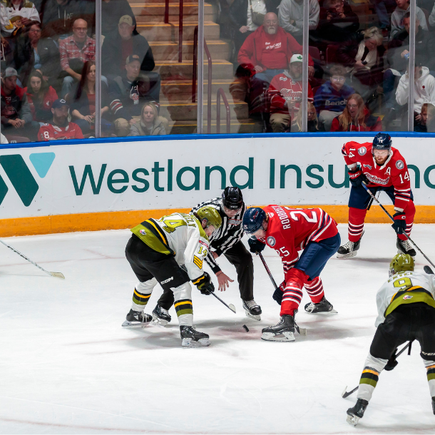 OHL hockey game