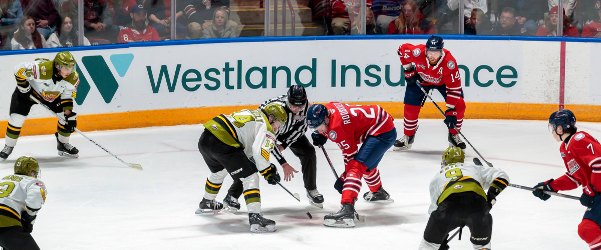 OHL hockey game