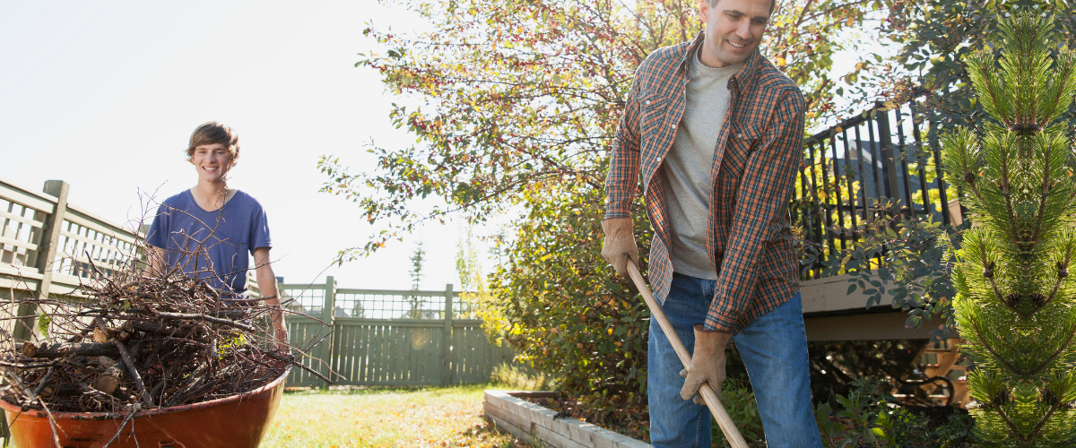 A father and son cleaning up the yard and removing branches.