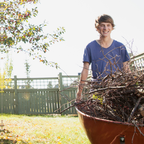 A father and son cleaning up the yard and removing branches.